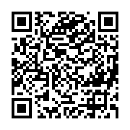 Scan to Donate Bitcoin to Artificial Intelligence Tereza